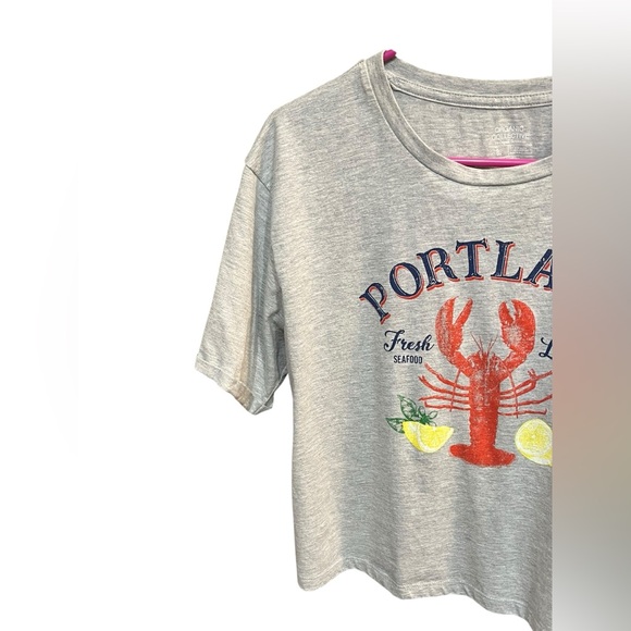 Portland Fresh Lobster Gray Cropped T-shirt - Large - Picture 3 of 6